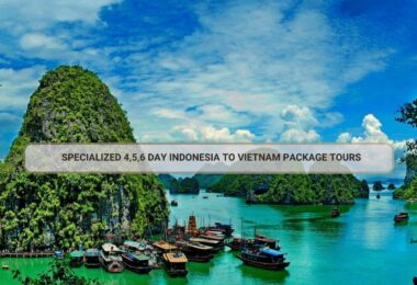 Specialized 4,5,6 Day Indonesia To Vietnam Package Tours