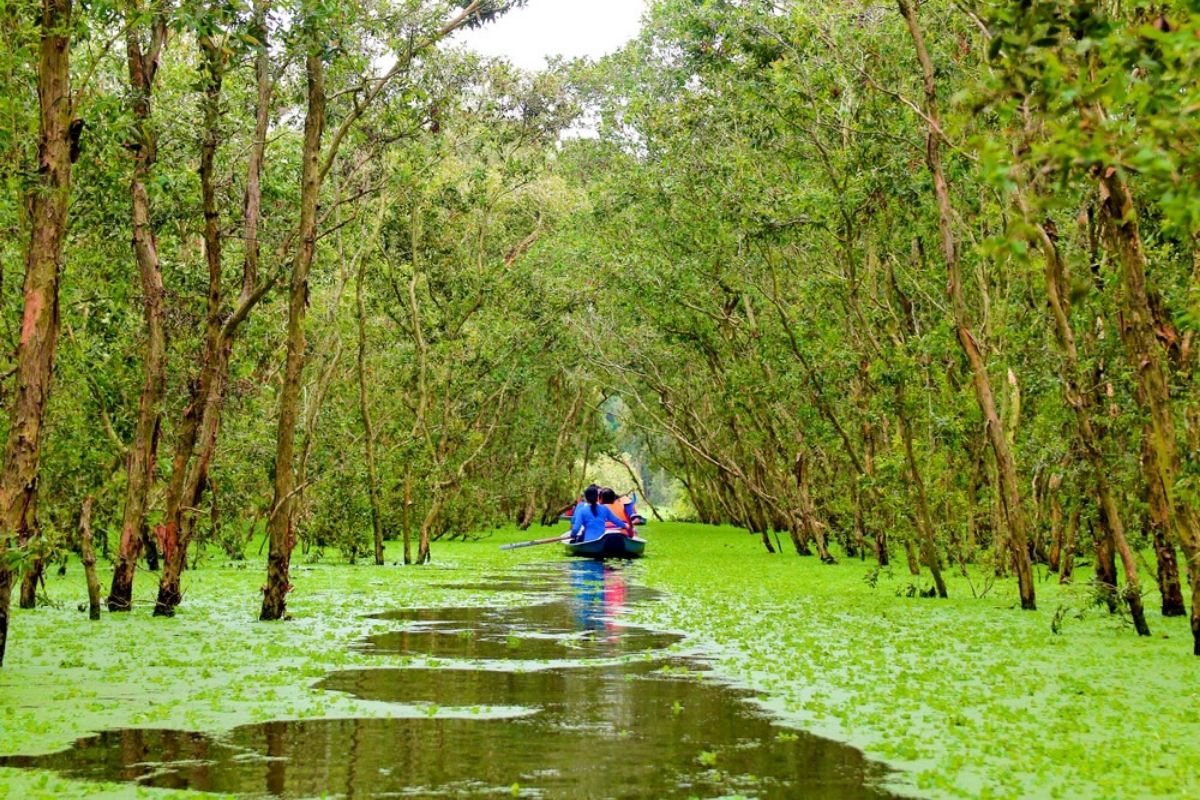 Specific Optional Mekong Tours 2-3 Days 2025 Reviews