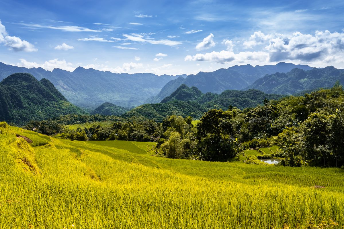 Tailor-Made Sapa Tours From the United Kingdom