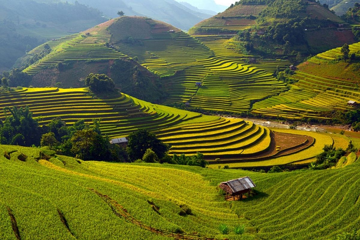 Thrilling Mu Cang Chai Tours visit Sa Ren Village