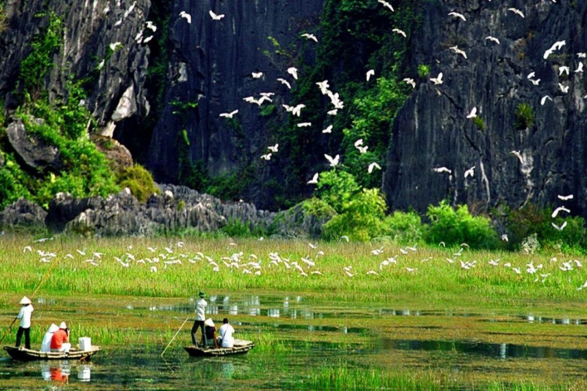  Explore the beauty of Ninh Binh