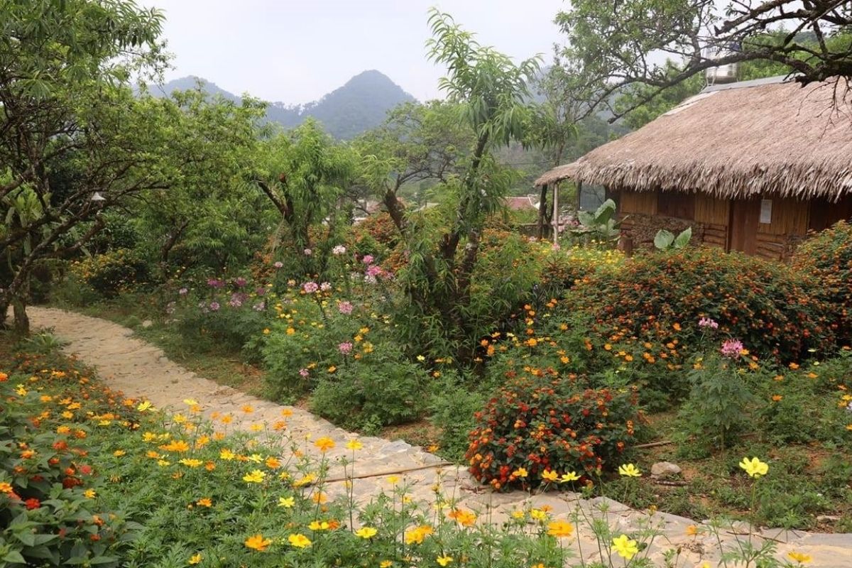 Explore serenity & culture with Hanoi to Mai Chau Tours