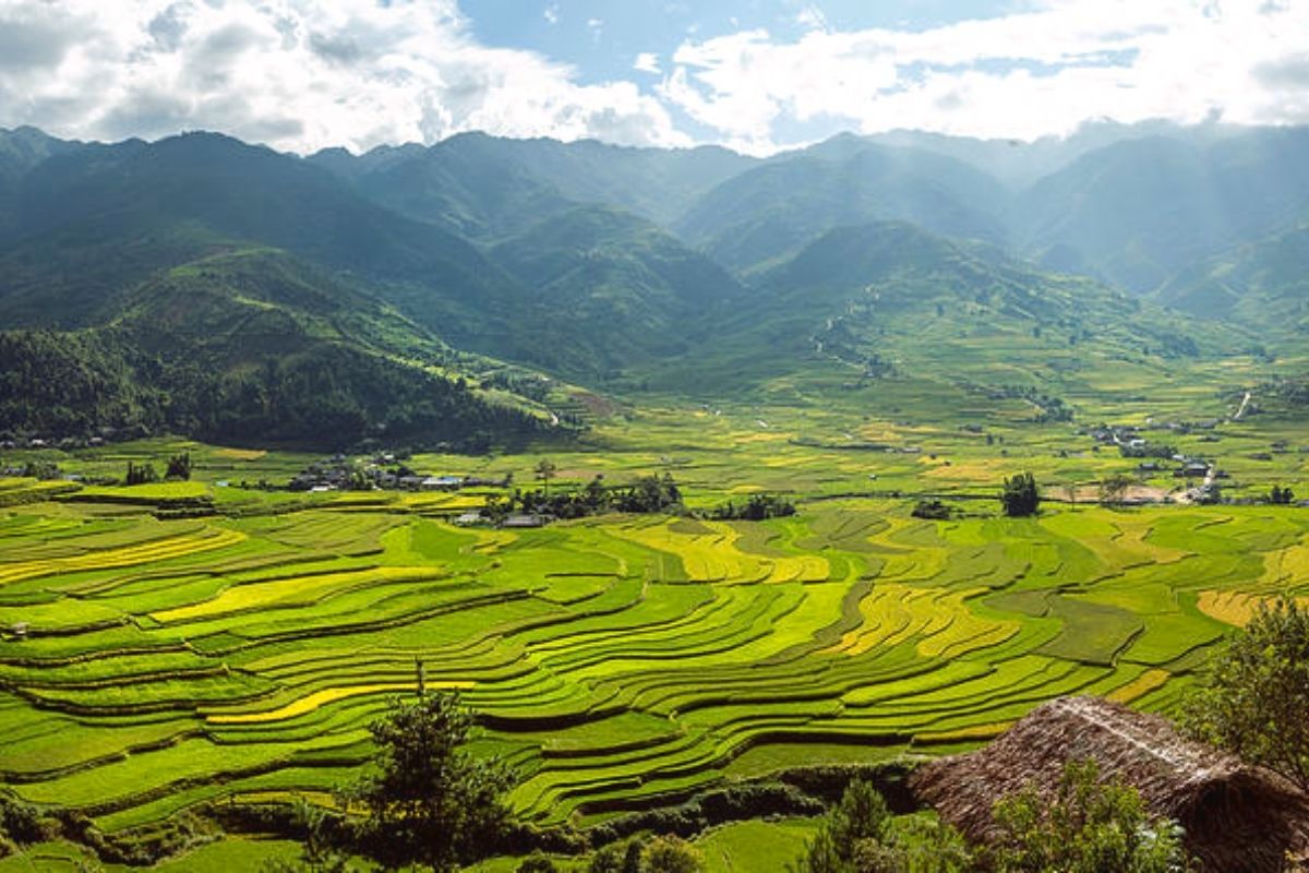 Join our 4-day Mu Cang Chai Tours 