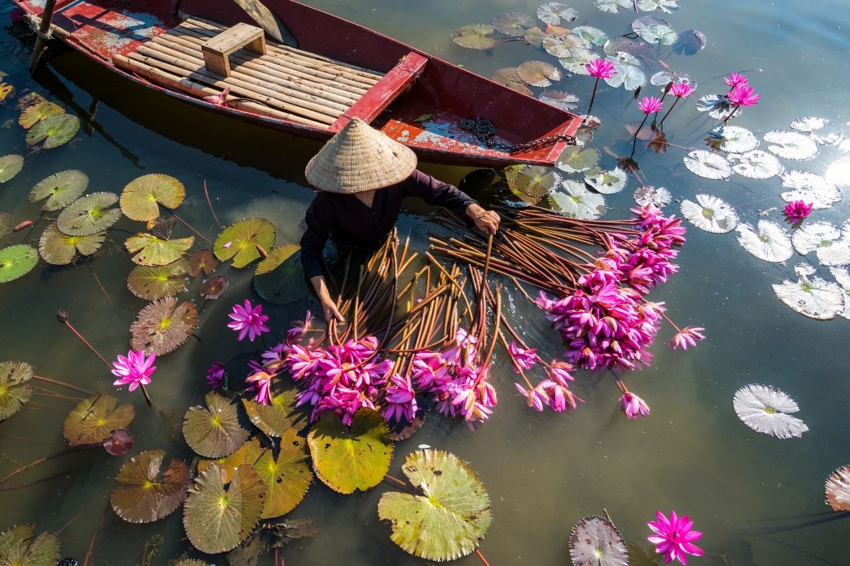 Untouched Ninh Binh Tours Visit Kim Son Beach