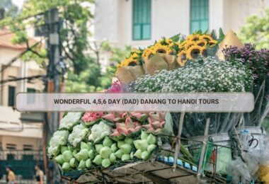 Wonderful 4,5,6 Day (DAD) Danang To Hanoi Tours