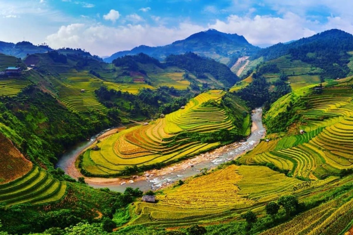  immerse yourself in the stunning landscapes, rich culture, and local life of Sapa in 2-3 days! 