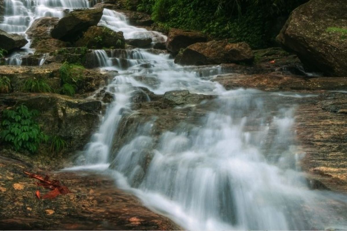 Discover the beauty of Mu Cang Chai Tours visit Dai Cai Temple