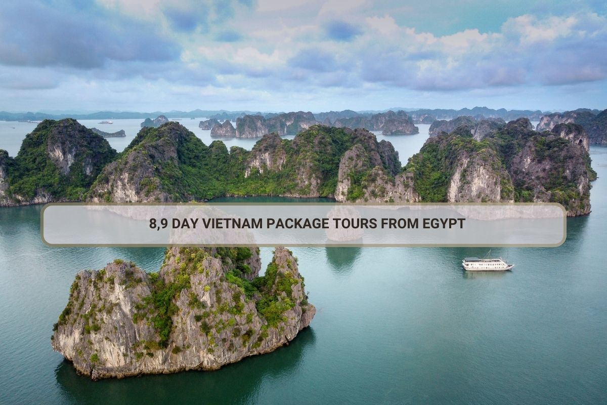 8,9 Day Vietnam package tours from Egypt