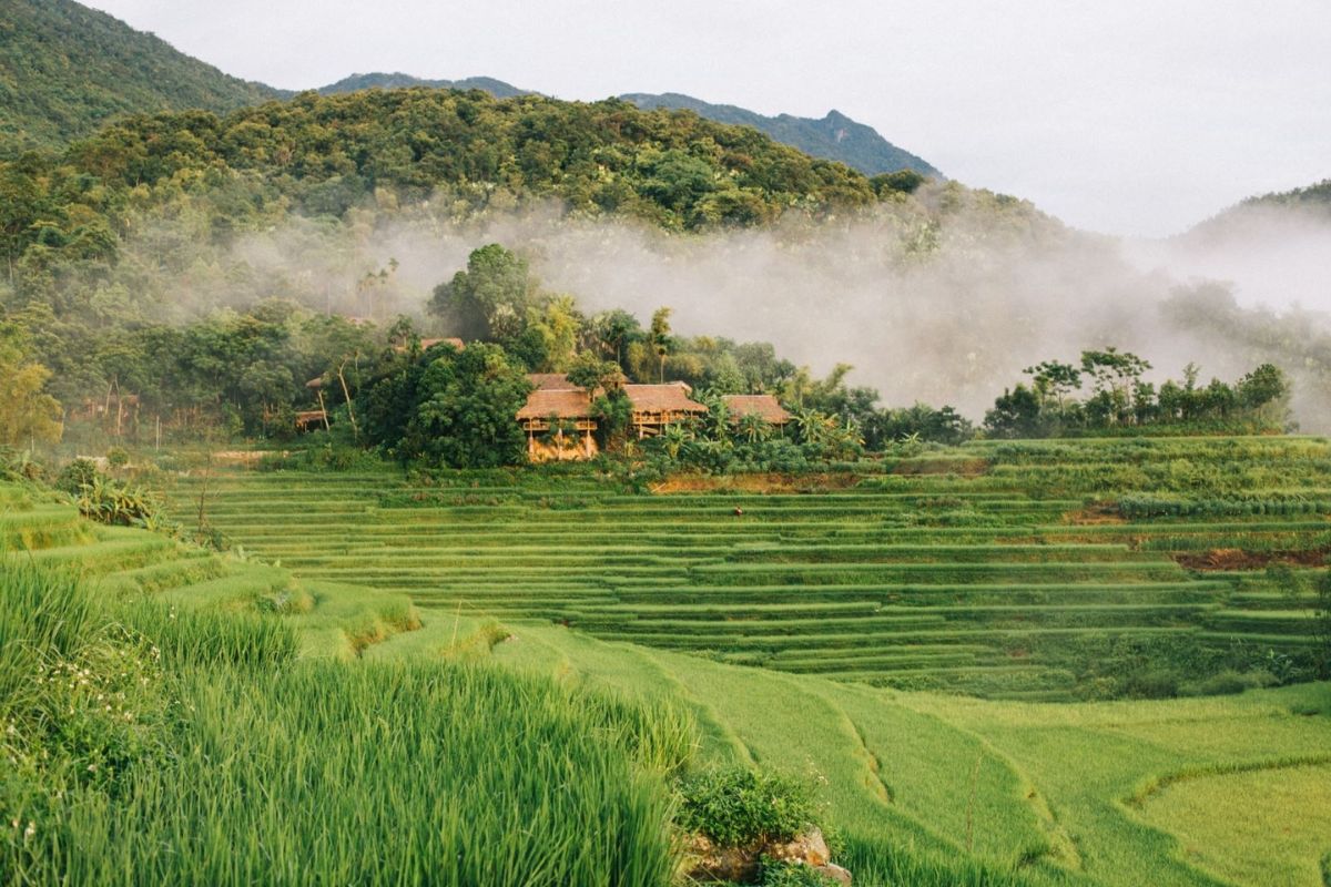 Amazing Pu Luong Tours Trek In Tom Village