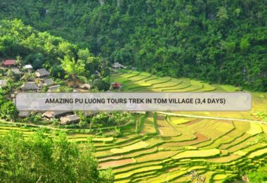 Amazing Pu Luong Tours Trek In Tom Village