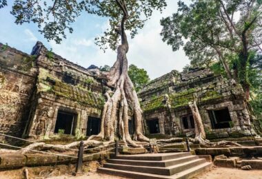 Ta Prohm