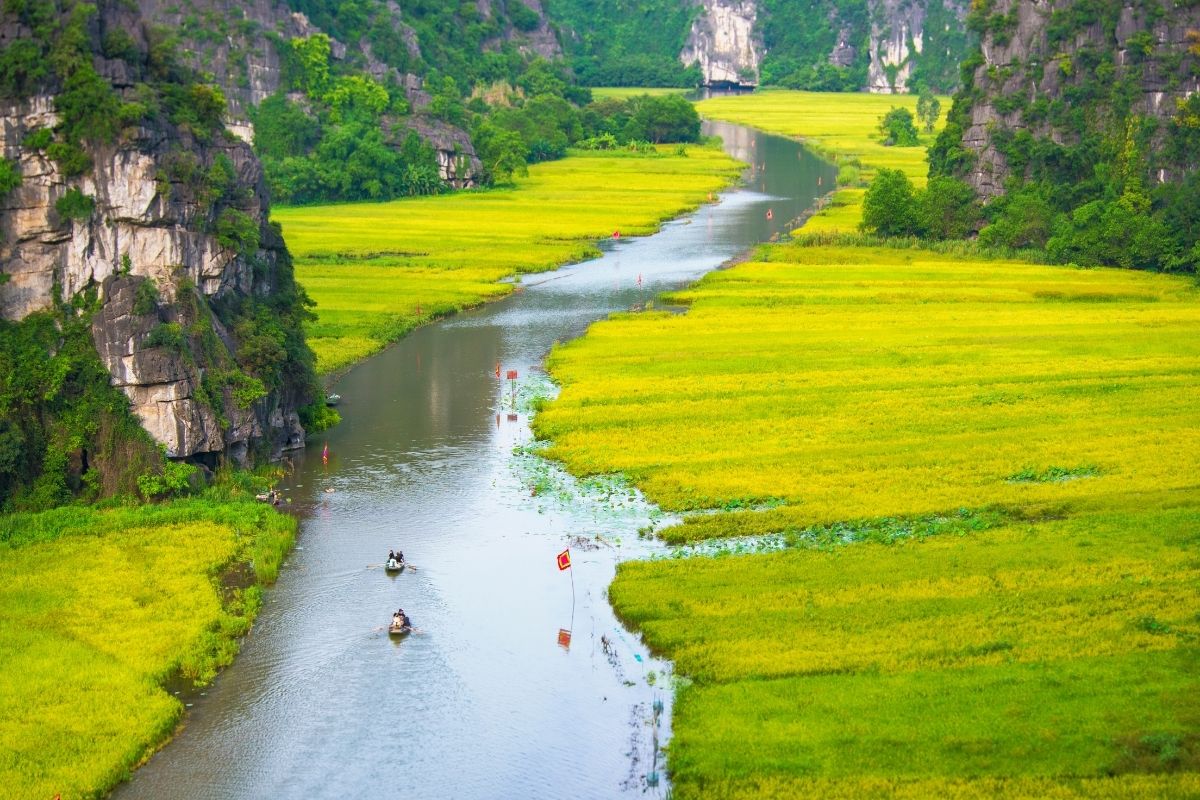 Boat Ninh Binh Toursexplore Wild Van Long Nature Reserve 