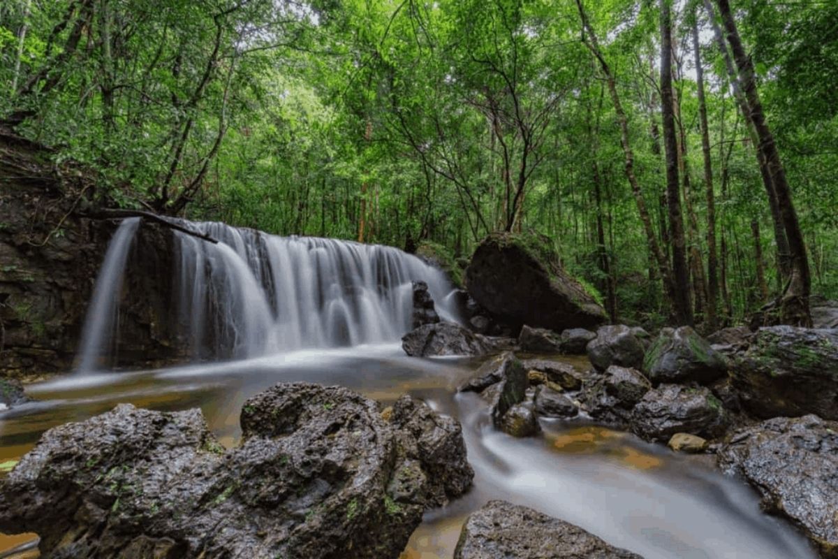  When visiting Phu Quoc, don't forget to explore the island's pristine beaches, lush forests, and unique culture