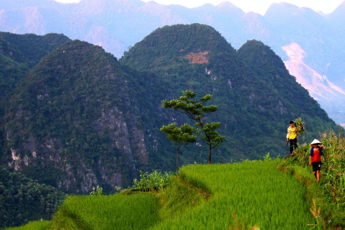 your gateway to an unforgettable trip in Pu Luong Nature Reserve