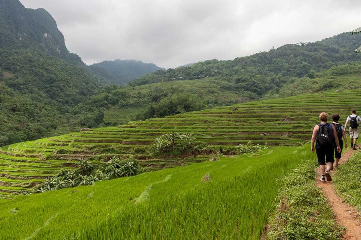 Reserve, featuring lush rice terraces, ethnic villages, and relaxing trekking routes.