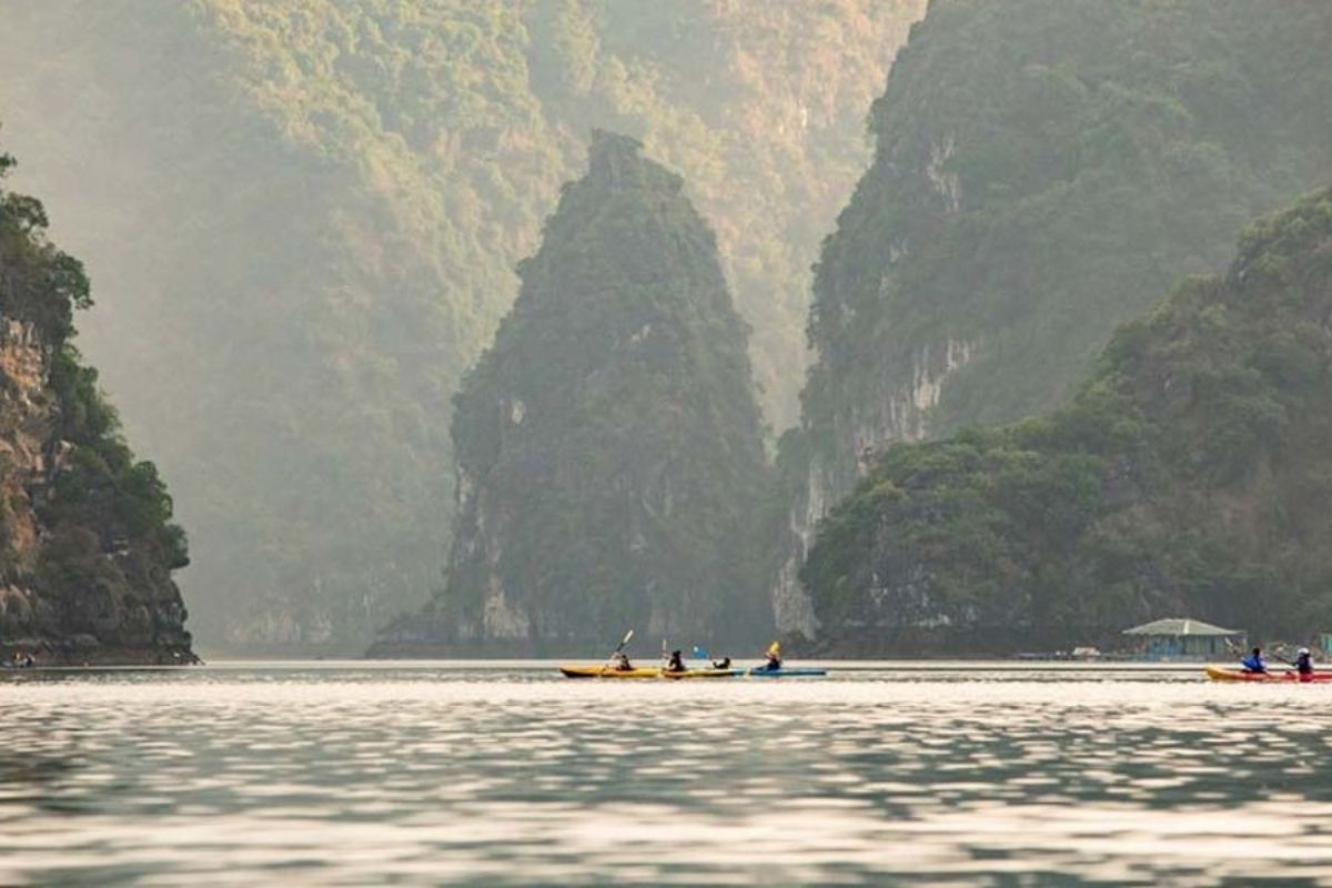 Experience the ideal blend of entertainment and relaxation with the Halong tours stay at Er