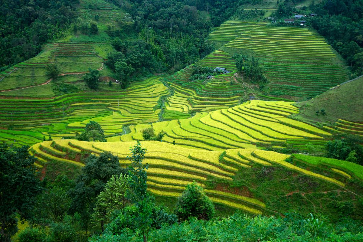 Historical Ha Giang Tours Explore Dan Cum Cave (3,4 Days) 