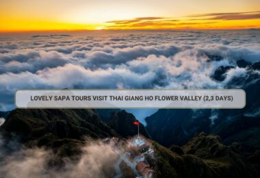 Lovely Sapa Tours Visit Thai Giang Ho Flower Valley