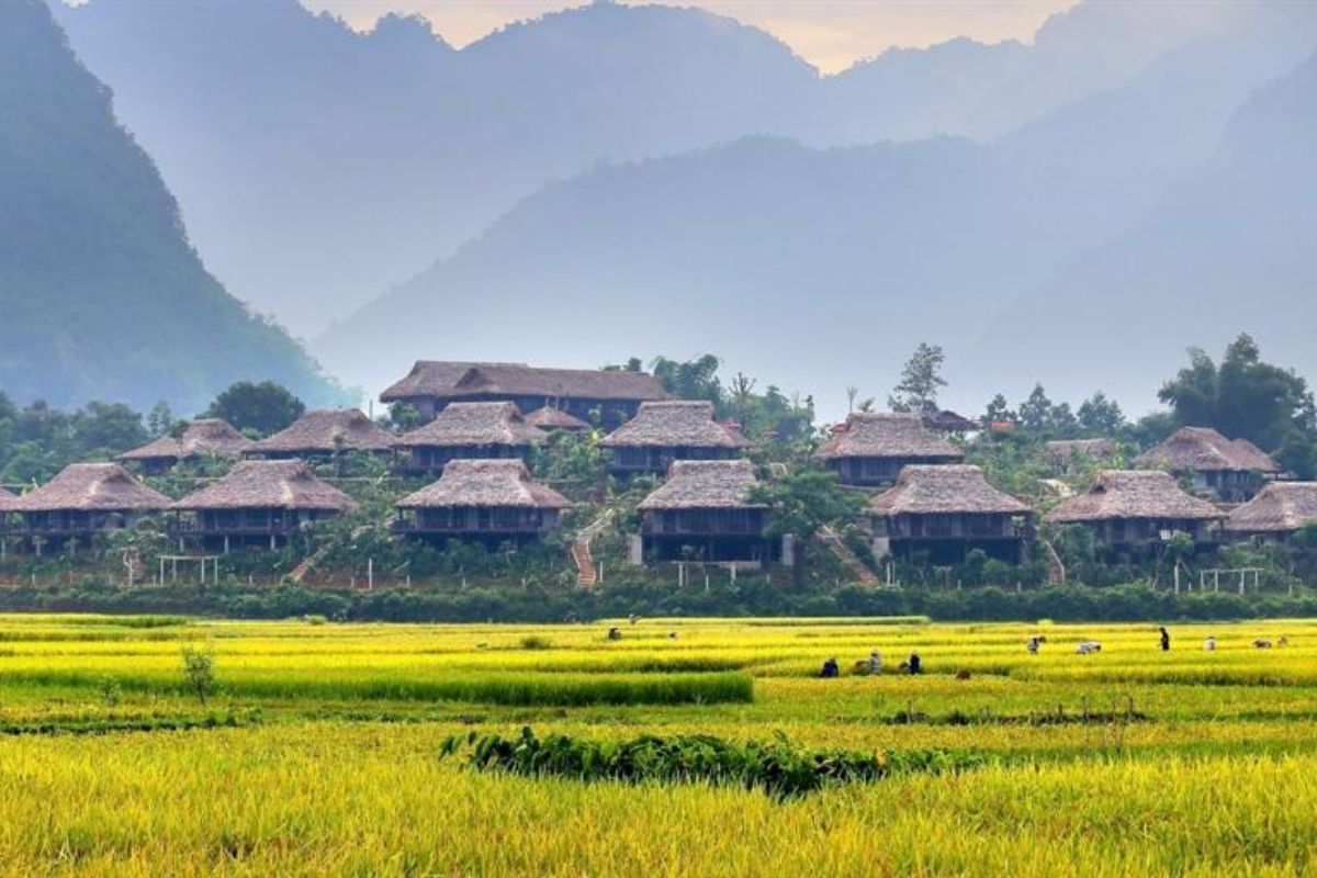 Mai Chau valleys, lies a hidden historical site of more than 400 years explaining the Dinh family