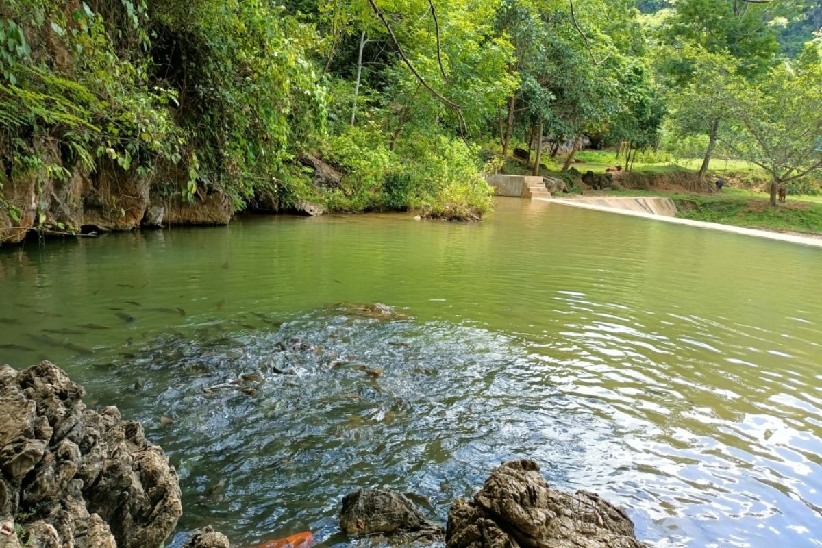 Pu Luong Tours Stay at Jungle Lodge.