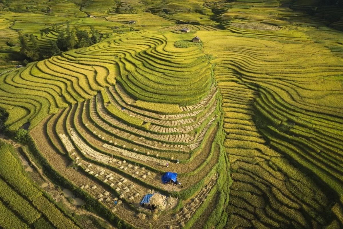 Sapa Tours discover Si Ma Cai District presents you with some extraordinary journeys in one of Vietnam’s least visited highland regions