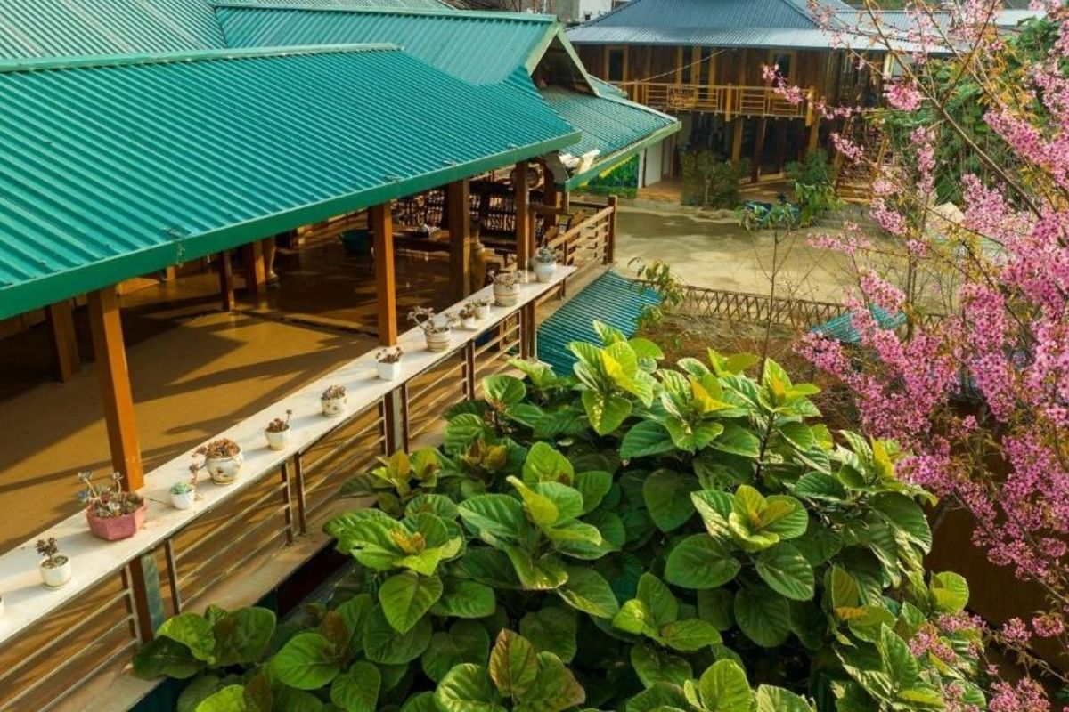 Nestled in the heart of Vietnam’s breathtaking Yen Bai province