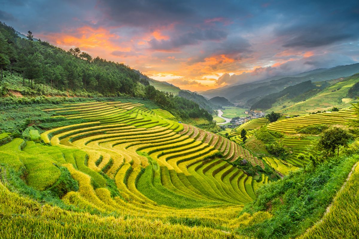 Mu Cang Chai Tours Stay At Homestay Quang Hien (2,3 Days) 