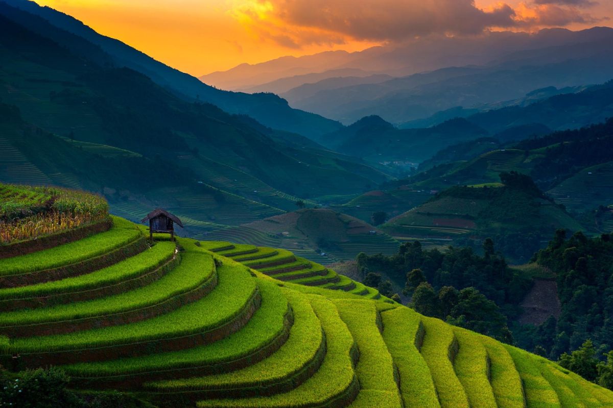 Mu Cang Chai Tours explore Tran Yen District (2,3 days) 