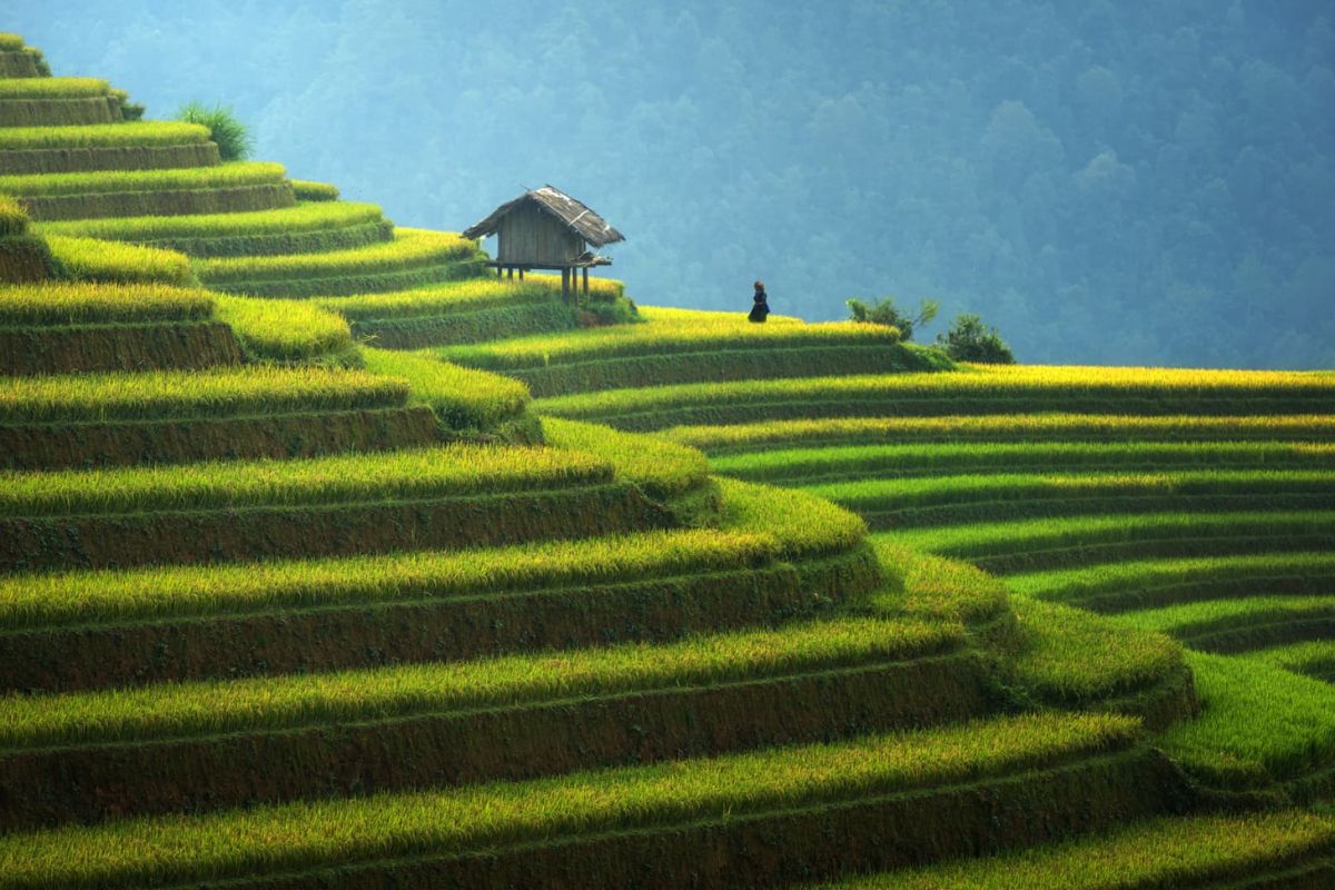 Mu Cang Chai Tours Explore Yen Binh (2,3 Days) 