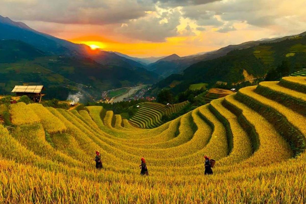 Mu Cang Chai tours stay at Homestay Hoa Son Tra 