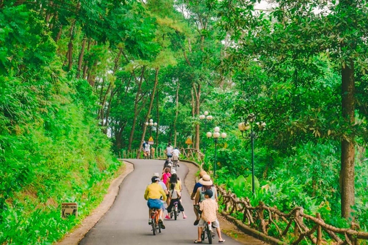 Escape the ordinary with Picnic Ninh Binh Tours Camp at Dong Chuong Lake