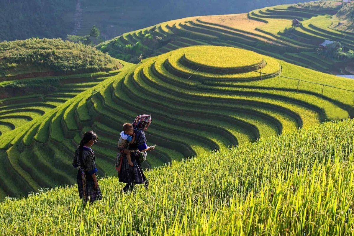 Sapa is a beautiful and must-visit destination in northern Vietnam