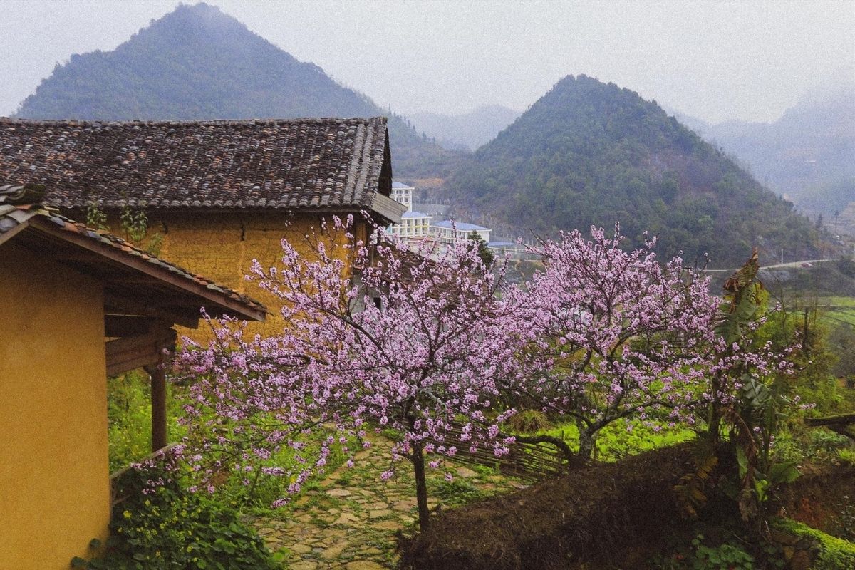 Journey Ha Giang is a land of rugged mountains, pristine rivers, and vibrant cultures 