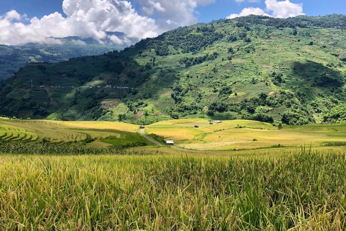 Embark on a once-in-a-lifetime adventure with Sapa tours explore Bat Xat district