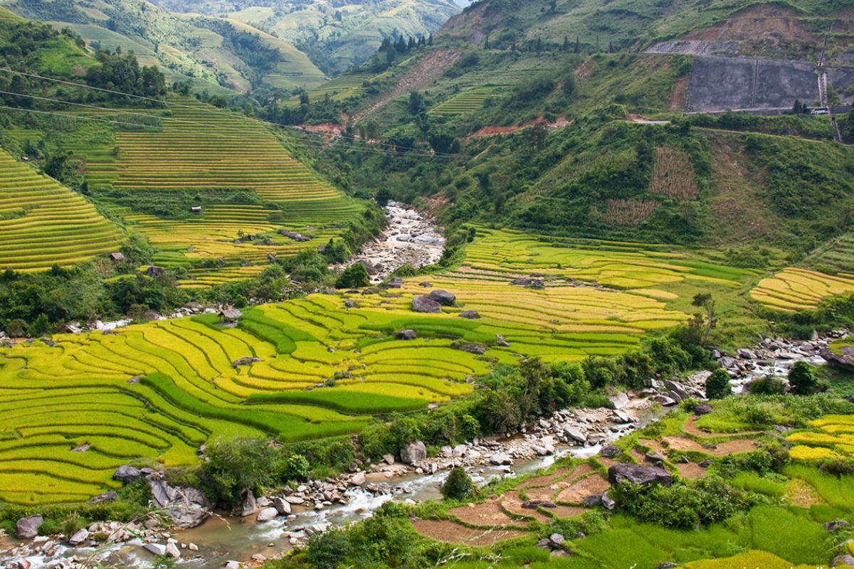 Sapa tours visit Bac Ha market is your perfect adventure