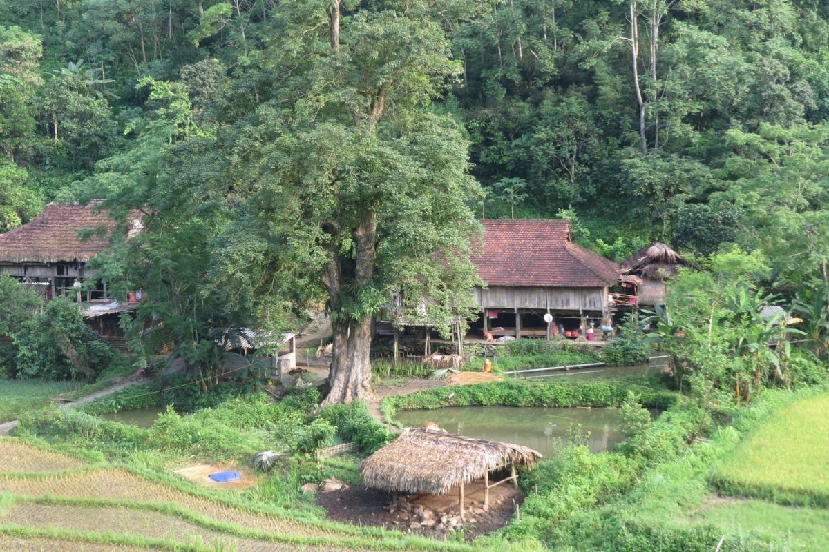 Cultural Community Ha Giang Tours Explore Ban Lan Village 