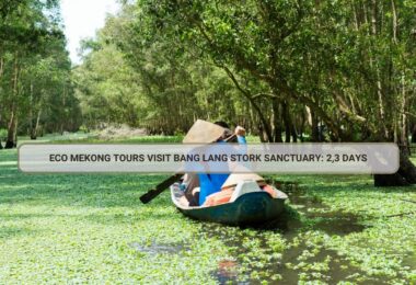 Eco Mekong Tours Visit Bang Lang Stork Sanctuary: 2,3 Days