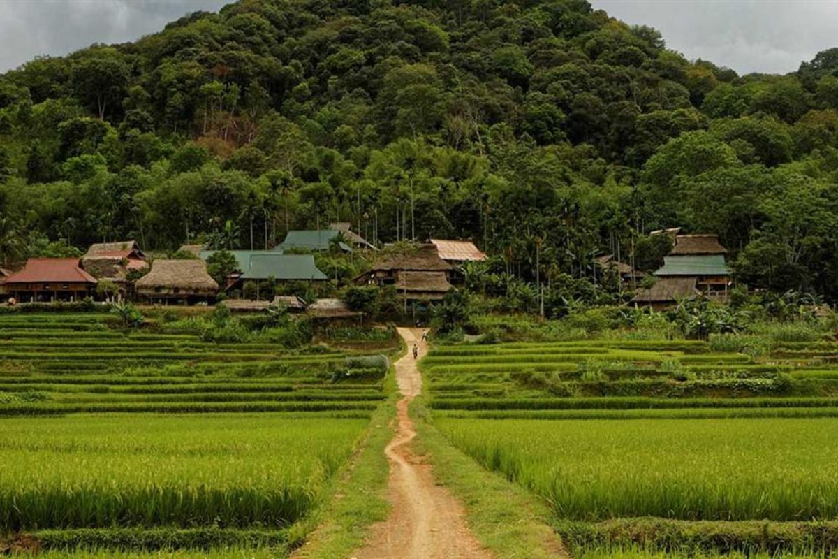 Imposing Mai Chau Tours Visit Thung Nai (2,3 Days) 