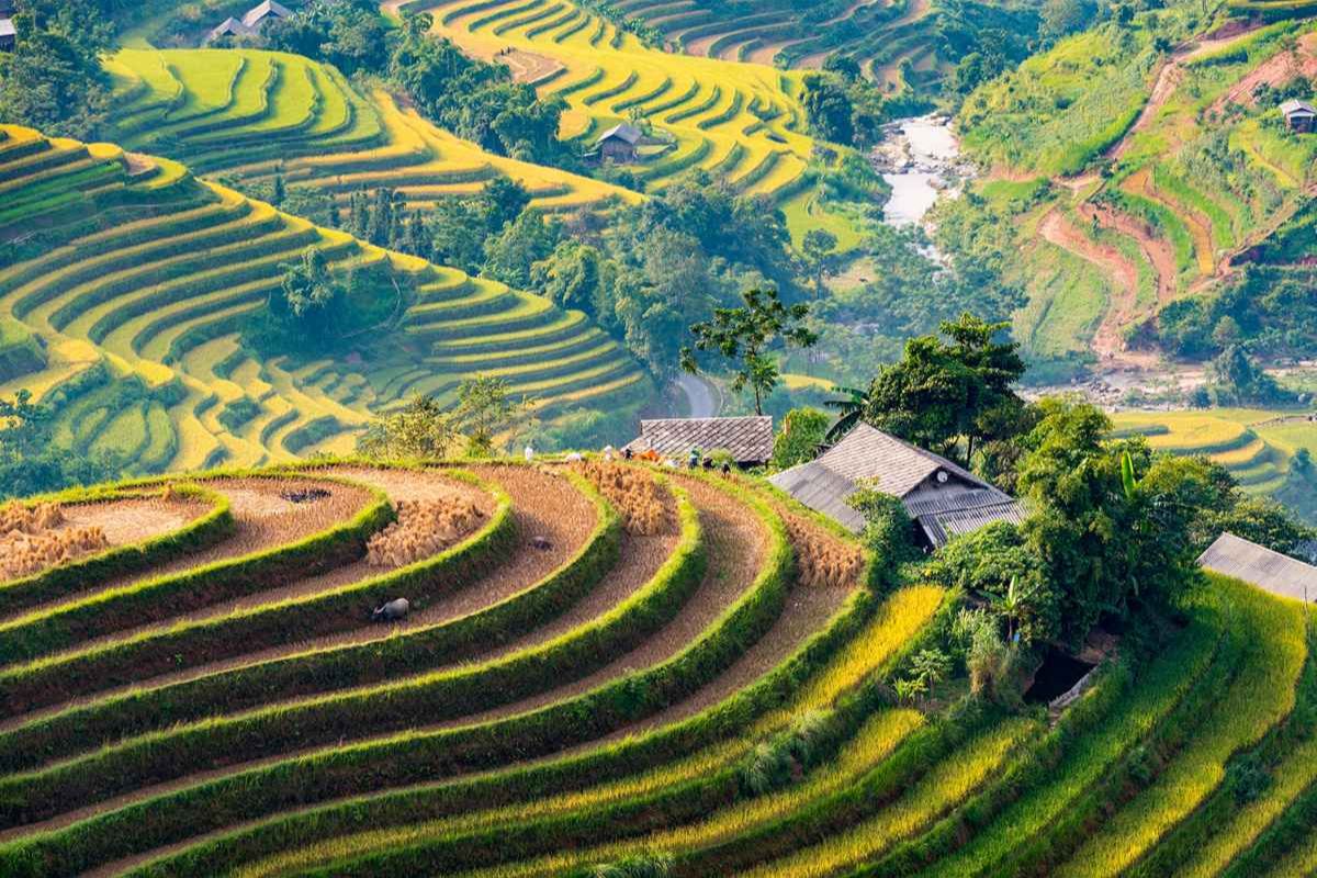 Discover Cam Duong Cave and the stunning landscapes of Mu Cang Chai Tours