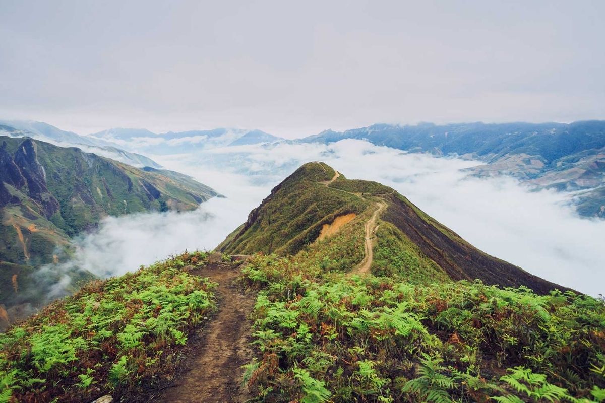 This tour for Mu Cang Chai Tours truly provides a unique experience for nature lovers