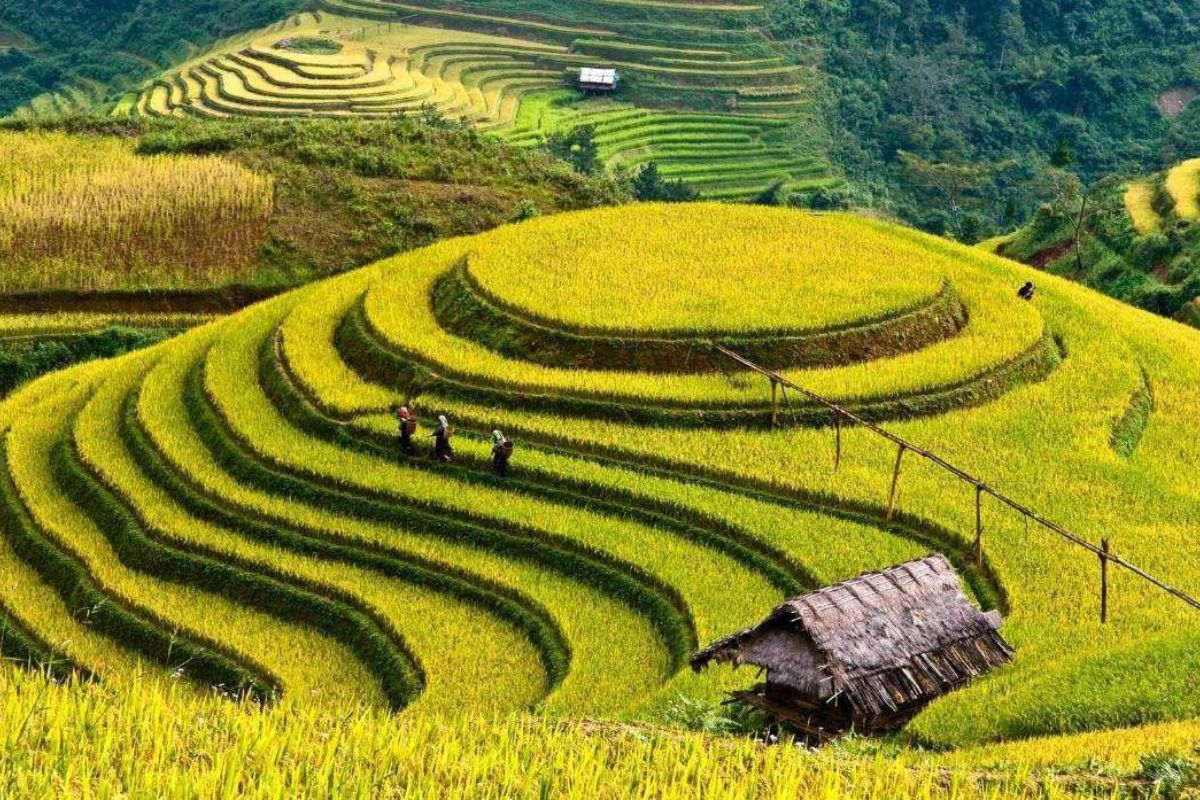 Mu Cang Chai Tours Visit Cam Duong Cave: 3,4 Days 