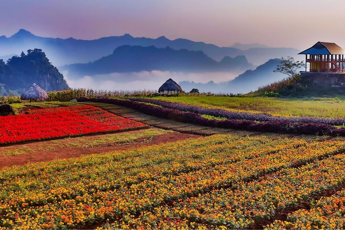  Experience stunning landscapes, vibrant flower valleys, and rich culture. 