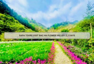 Sapa Tours Visit Bac Ha Flower Valley: 2,3 Days