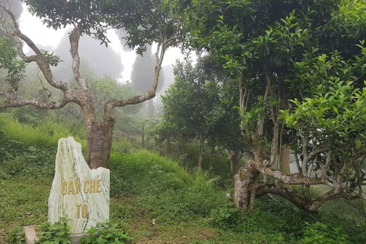 Spiritual Sapa Tours Visit Bao Ha Temple: 2,3 Days 