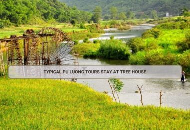 Typical Pu Luong Tours Stay At Tree House