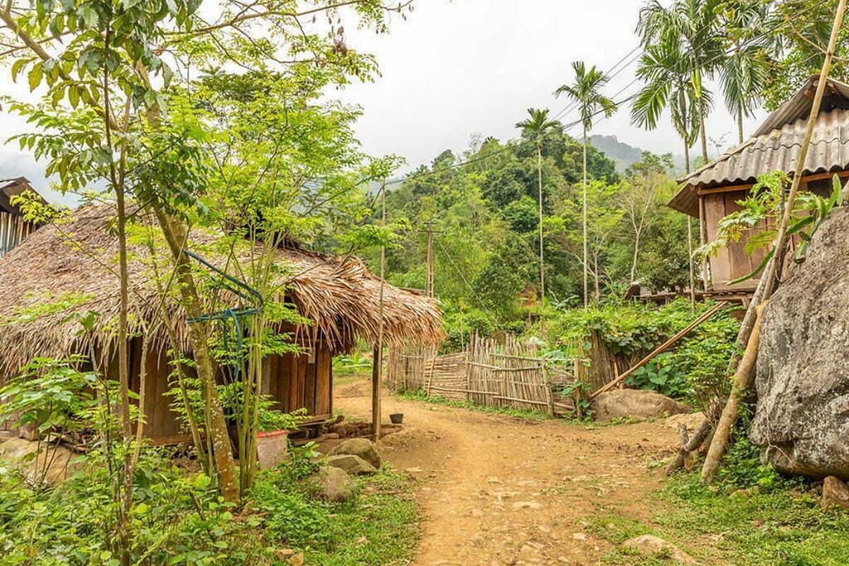 Welcome to Tree House, a hidden oasis resting on the island of trees lost among white rice fields