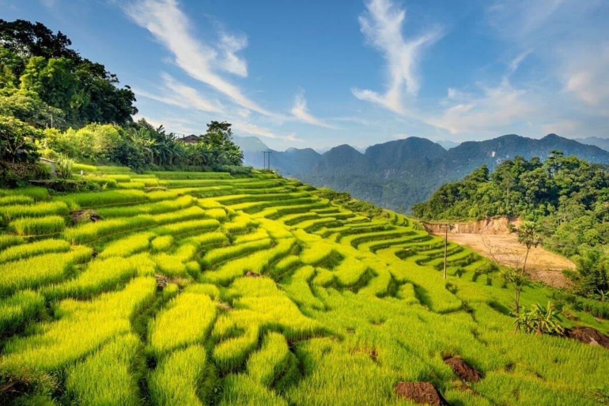 Typical Pu Luong Tours Stay At Tree House 