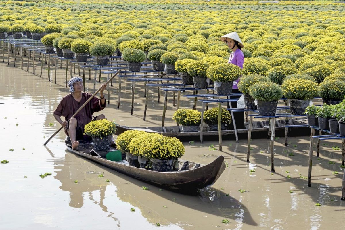 Vietnam package tours from Benin