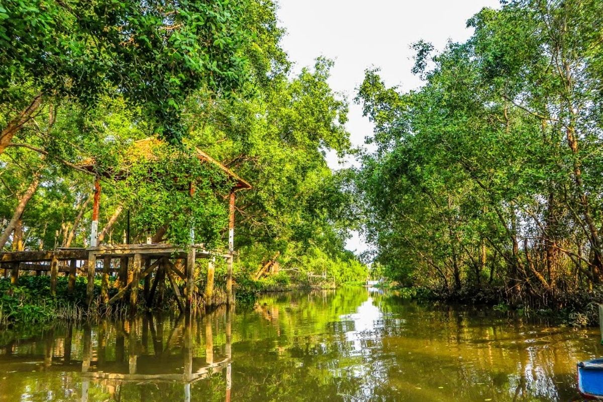 where serene waterways, floating markets, and authentic culture await in this unforgettable Mekong Delta journey