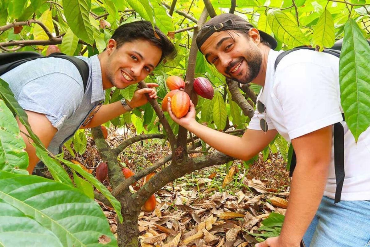 Experience the authentic Mekong Delta with Mekong Tours Explore Son Island